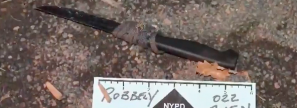 Teens Arrested for Robbing Woman at Knifepoint in Central Park