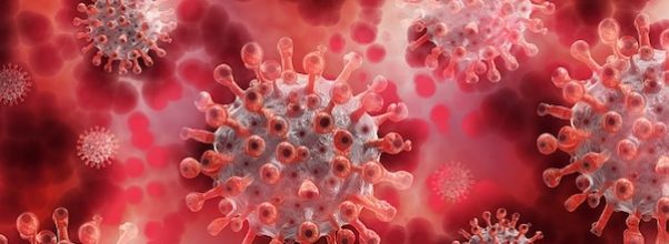 Vaccination Incentives & Updated Mandates