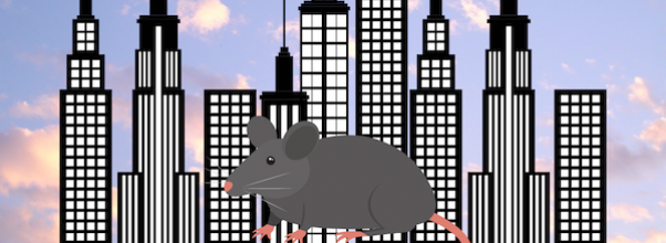 Rodent Sightings Increase Citywide; UES Leads Charts