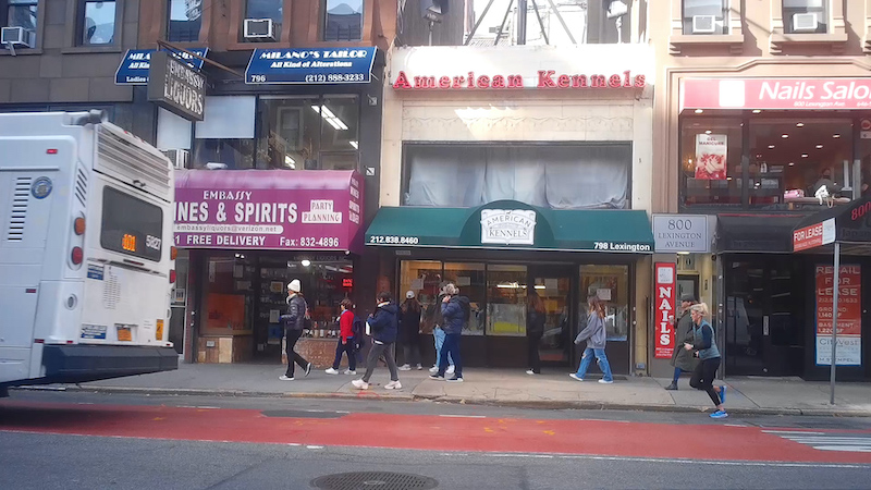 American Kennels Pet Store Investigation