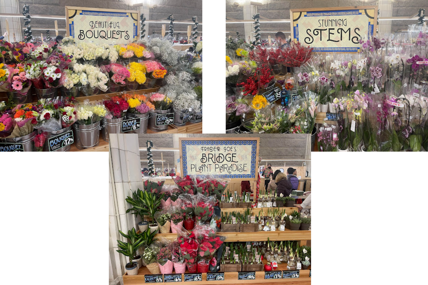 TJ Bridgemarket Flower Display