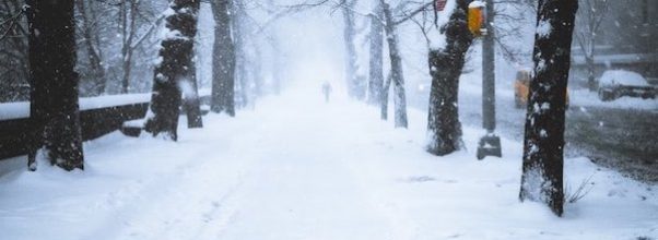 Snow Alert Issued: Up to 6 Inches Expected