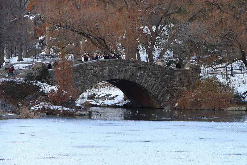 Central Park Pond