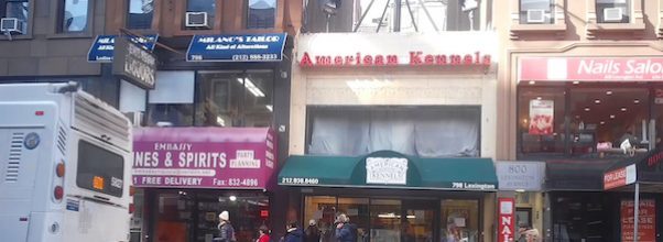 American Kennels Closes
