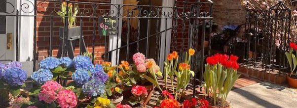 Openings: Lili’s Flowers, Maria Cher