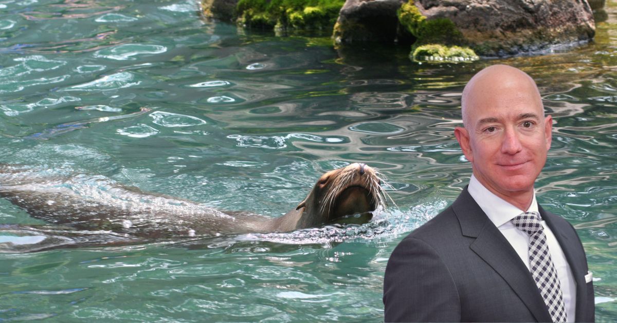 jeff bezos central park zoo