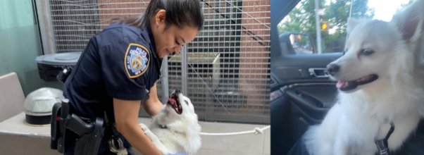 Cop Adopts Dog She Helped Save From Hot Car