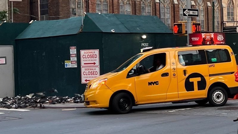 cabbie dropping birdseed upper east side