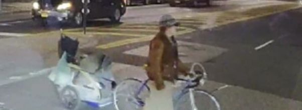 63-Year-Old Man Victim of Anti-Semitic Attack in Central Park: New Photos, Details