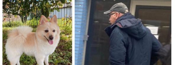 Man Allegedly Kicks Dog While Walking Kid To School