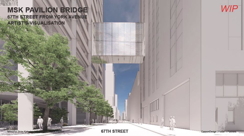 MSK Pavilion Bridge