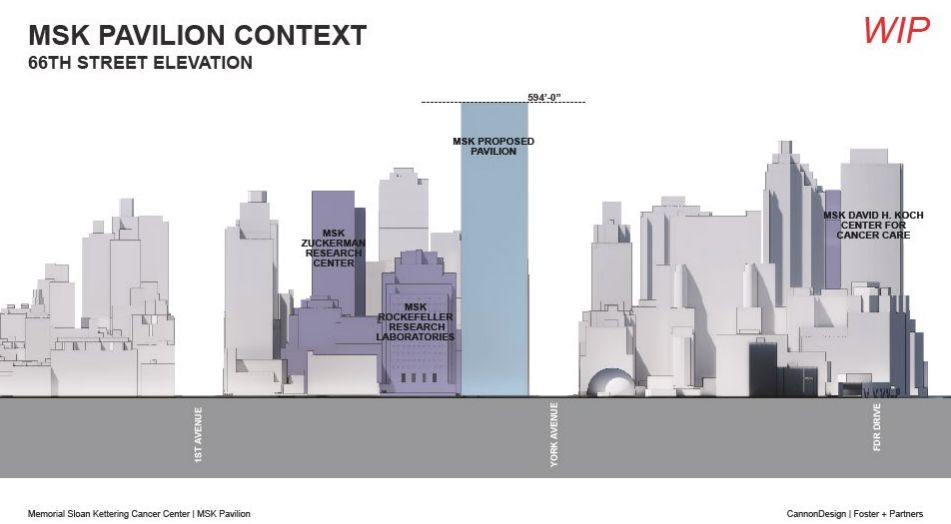 MSK Pavilion Proposal