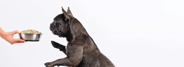 JustFoodForDogs Opens Upper East Side Kitchen