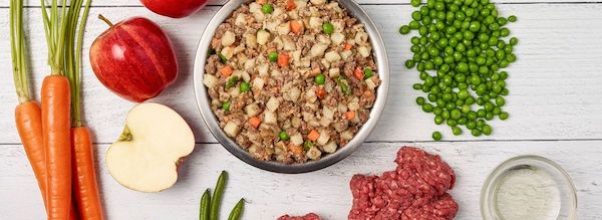 JustFoodForDogs: New York City’s Dog Kitchen