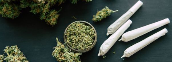 Hopeful Cannabis Retailers Pitch Plans to CB8