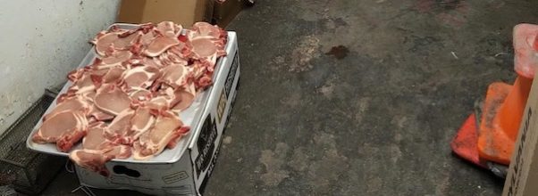 UES Restaurant Caught Storing Meat on Gross Basement Floor