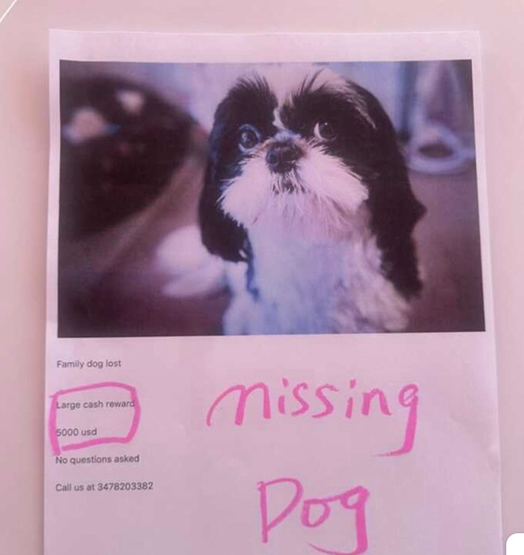panda stolen reward