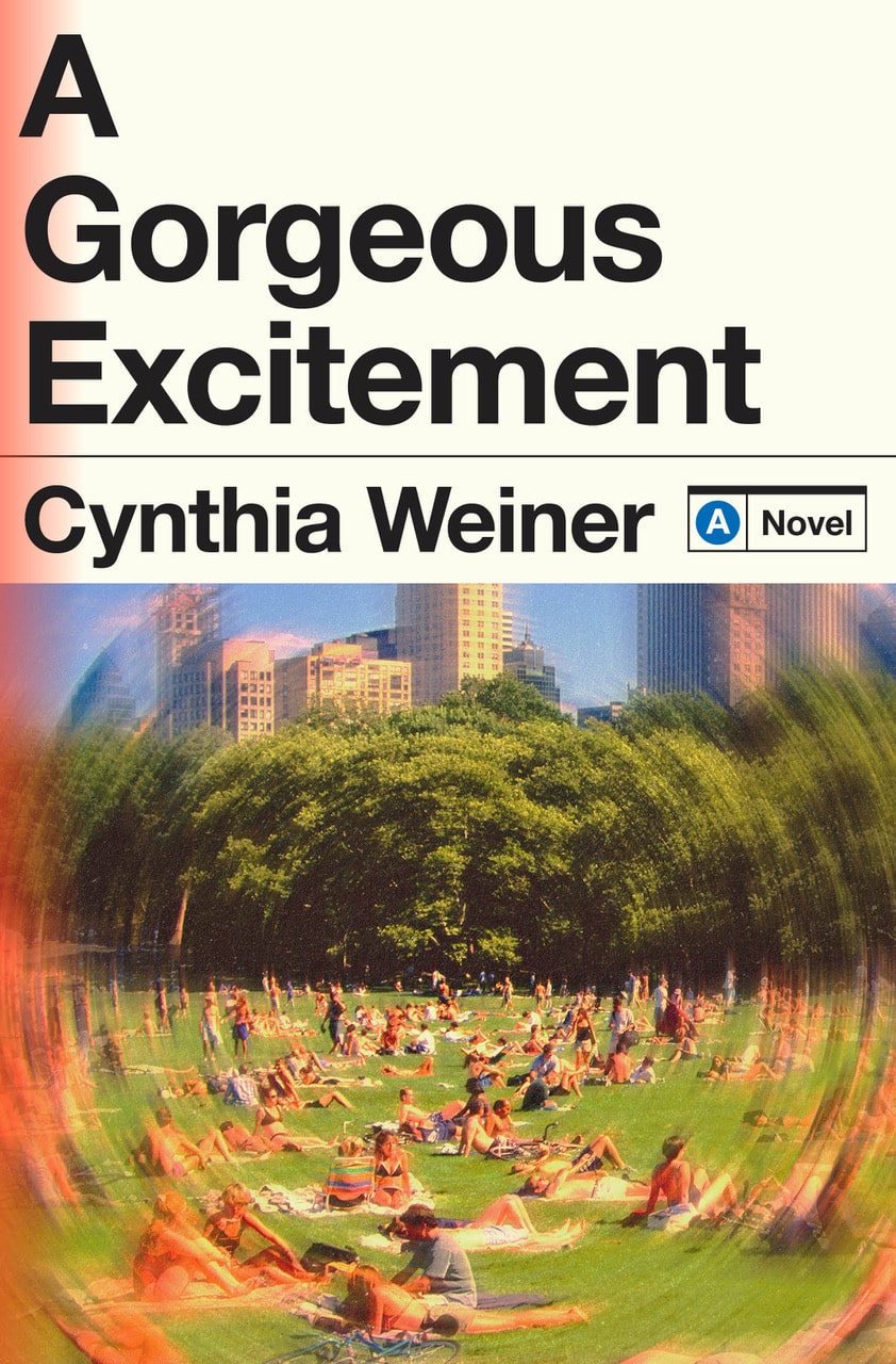 A Gorgeous Excitement Cover Image