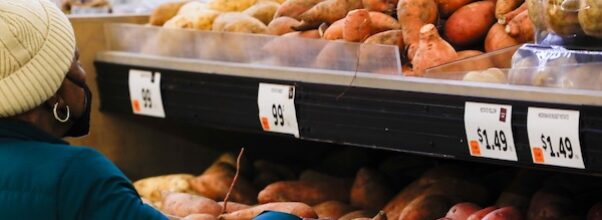 SNAP Shutdown Pause and New Work Rules: What You Need to Know
