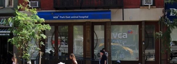 Upper East Side Vet to the Stars, Lewis Berman, Dies at 90 Upper East Side Vet to the Stars, Lewis Berman, Dies at 90